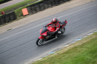 enduro-digital-images;event-digital-images;eventdigitalimages;lydden-hill;lydden-no-limits-trackday;lydden-photographs;lydden-trackday-photographs;no-limits-trackdays;peter-wileman-photography;racing-digital-images;trackday-digital-images;trackday-photos